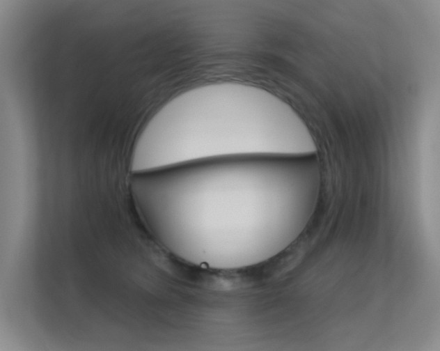 X0000112390420200908131348