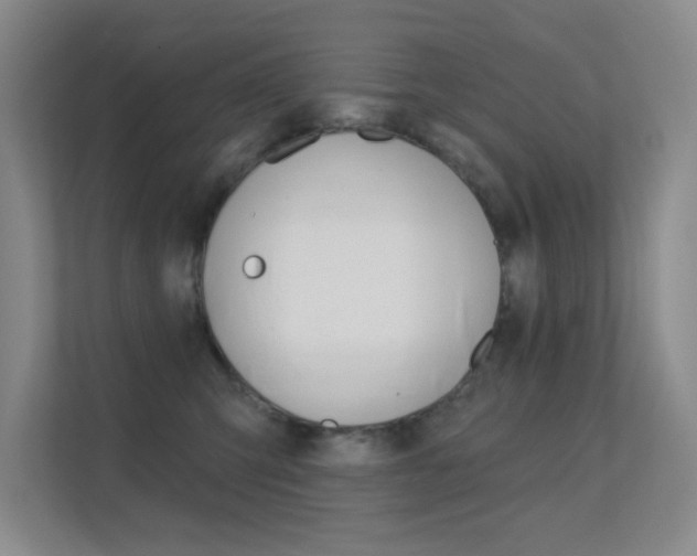 X0000112390423200908131348