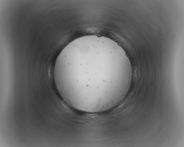 X0000112390424200908131348