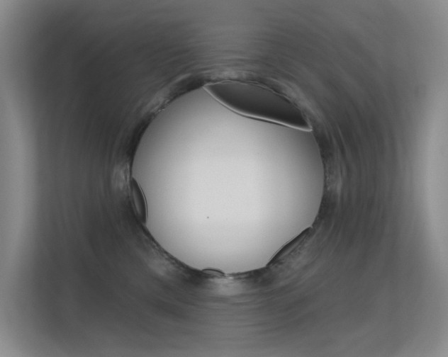 X0000112390425200908131348