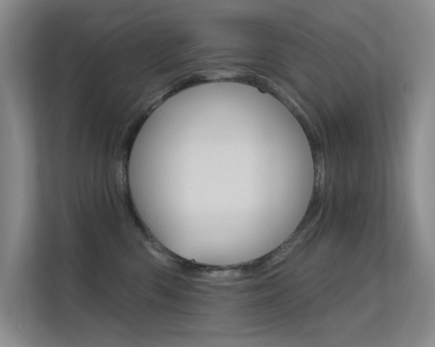 X0000112390426200908131348