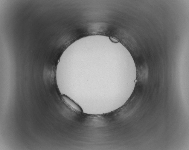 X0000112390427200908131348