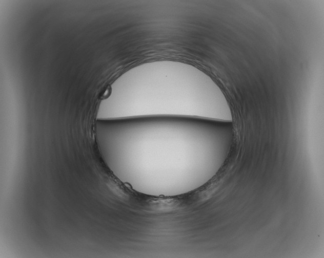 X0000112390428200908131348