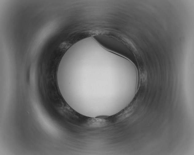 X0000112390429200908131348