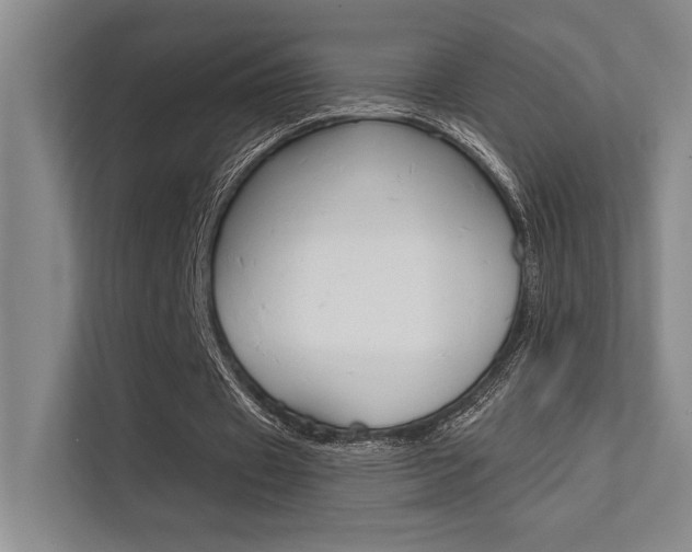 X0000112390433200908131347