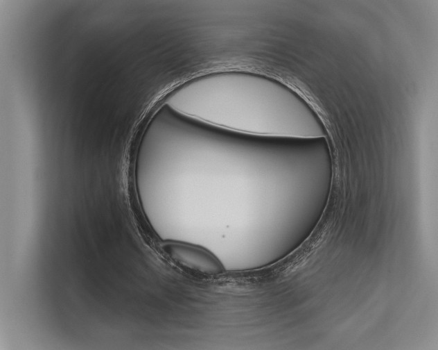 X0000112390434200908131347