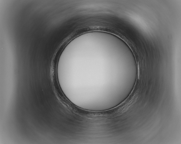 X0000112390435200908131347