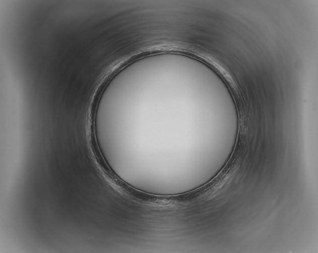 X0000112390437200908131347