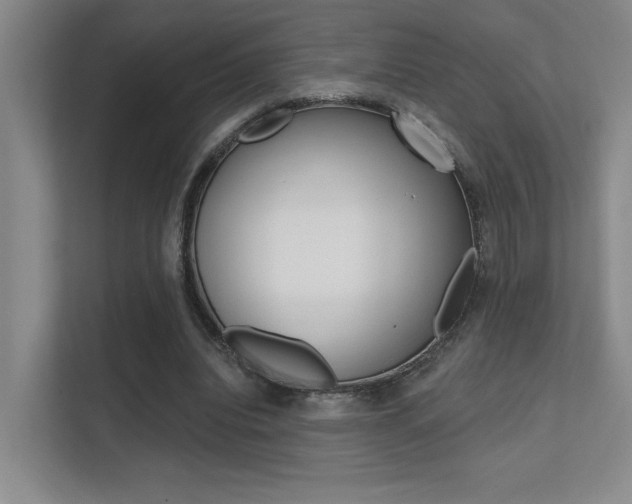 X0000112390440200908131347