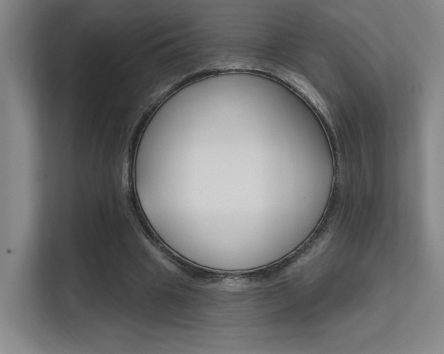 X0000112390441200908131347