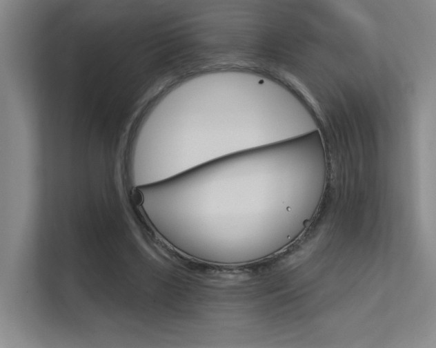 X0000112390443200908131347