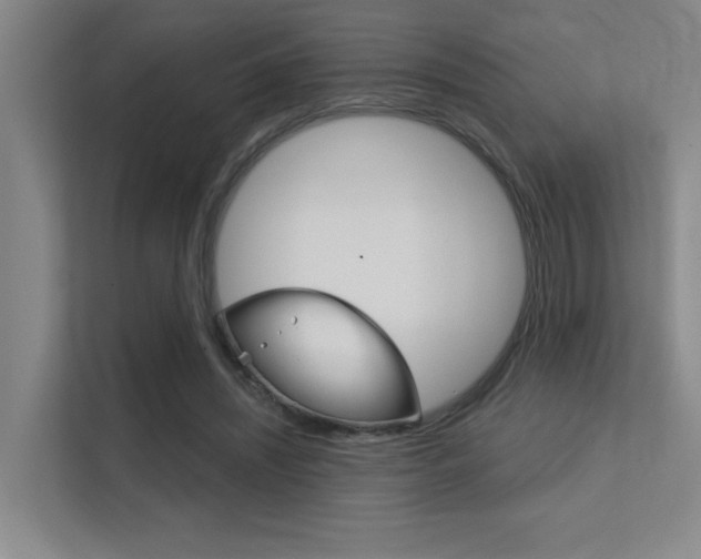 X0000112390444200908131347