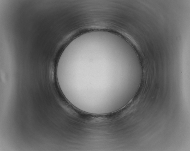 X0000112390446200908131347