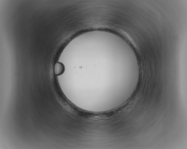 X0000112390447200908131347