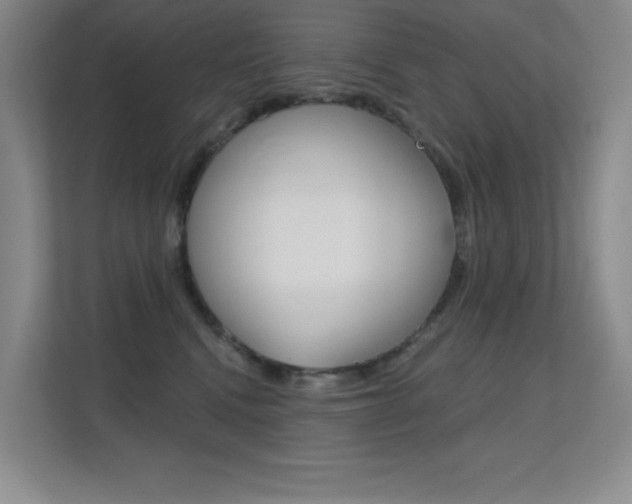 X0000112390472200908131347