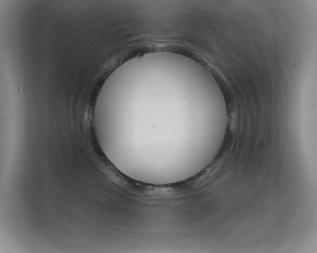X0000112390476200908131347