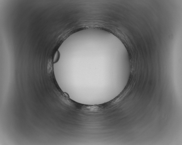 X0000112390478200908131347