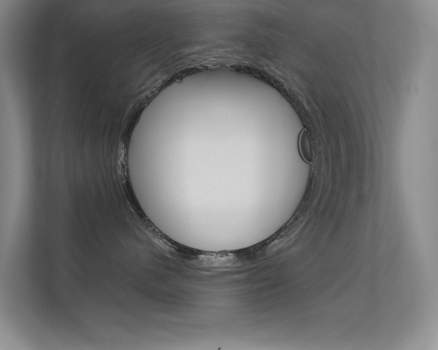 X0000112390480200908131347