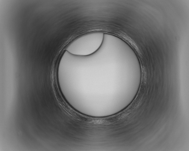 X0000112390482200908131347