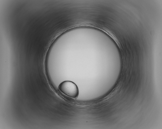 X0000112390485200908131347