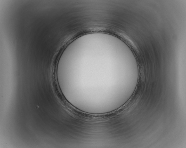 X0000112390490200908131347