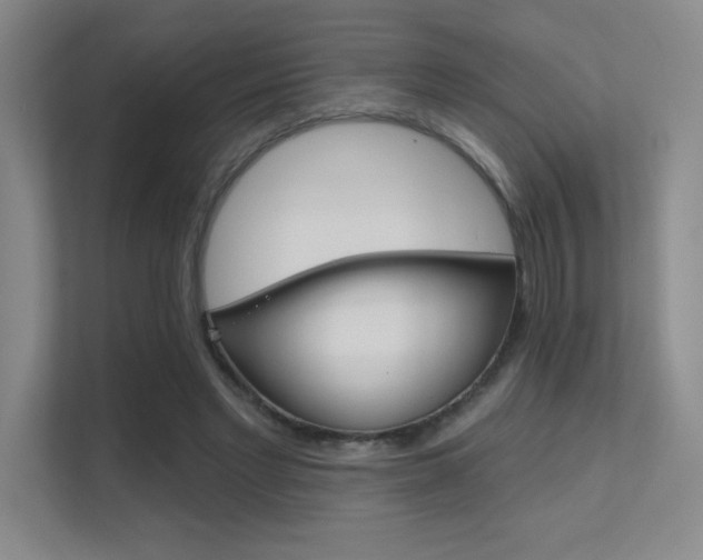 X0000112390493200908131347