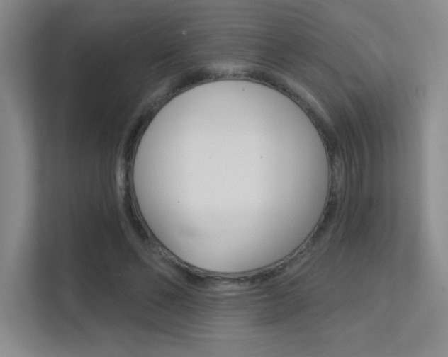 X0000112390494200908131347