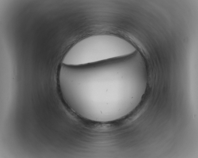 X0000112390497200908131347