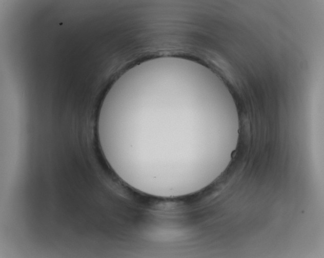 X0000112390499200908131347