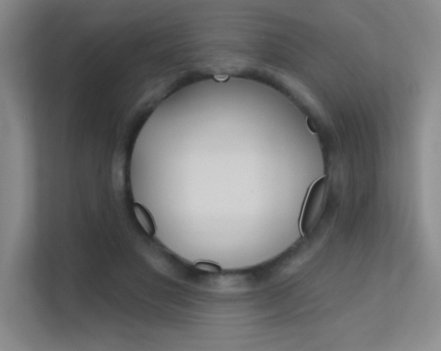 X0000112390501200908131347