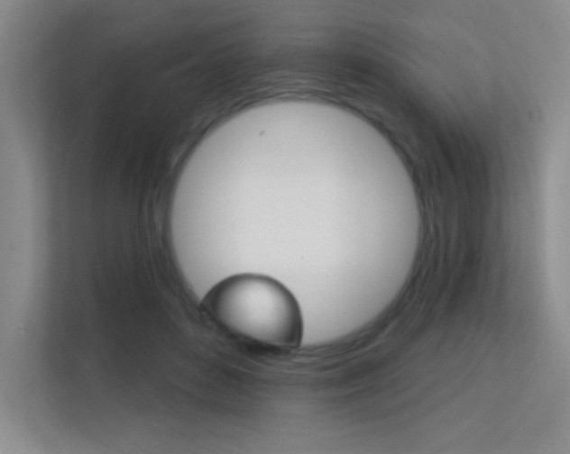 X0000112390504200908131347