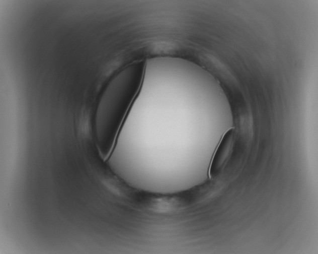 X0000112390508200908131346