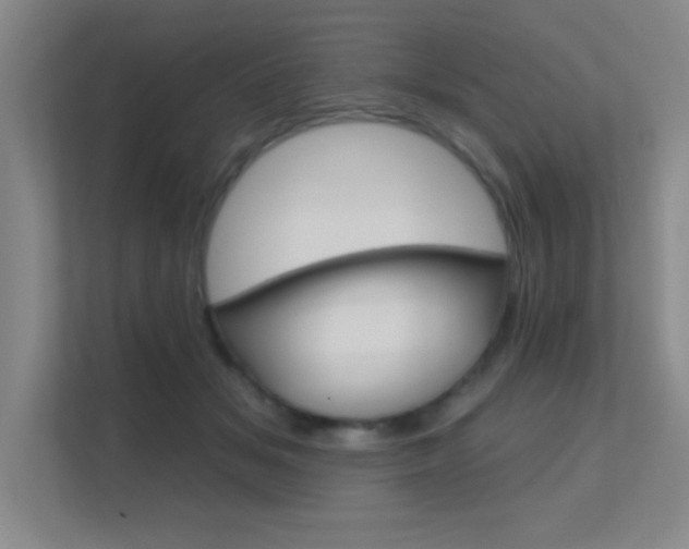 X0000112390509200908131346
