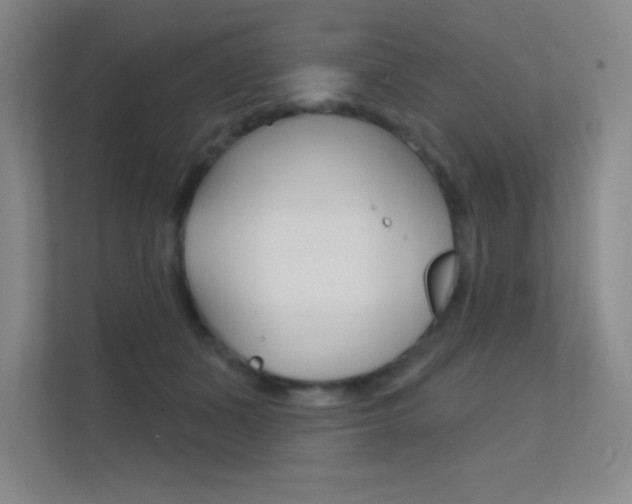X0000112390511200908131346