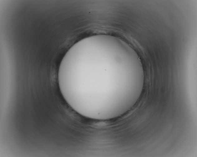 X0000112390513200908131346