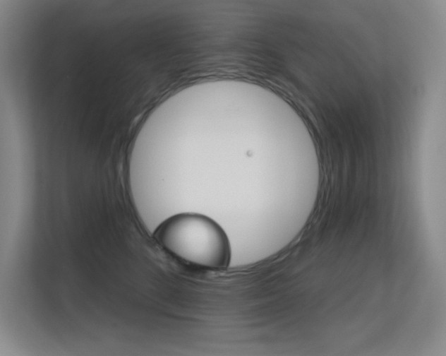 X0000112390520200908131346