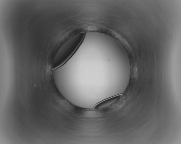 X0000112390521200908131346