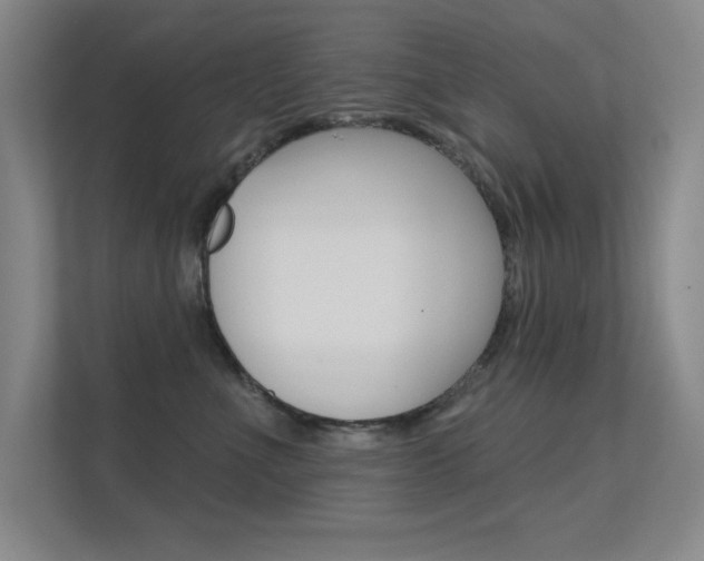 X0000112390523200908131346