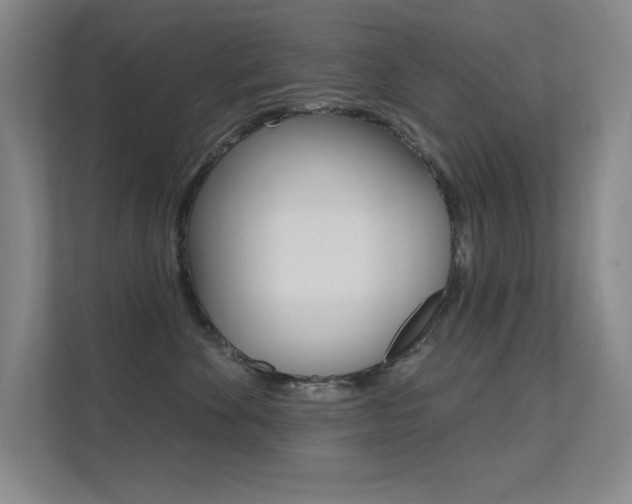 X0000112390524200908131346