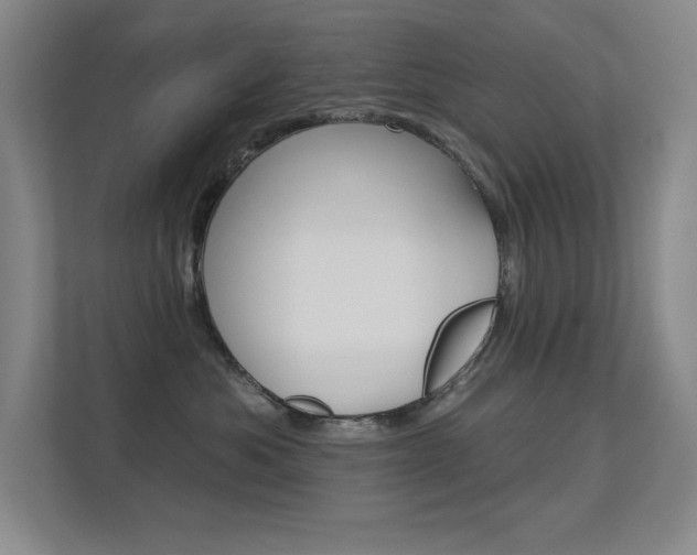 X0000112390525200908131346