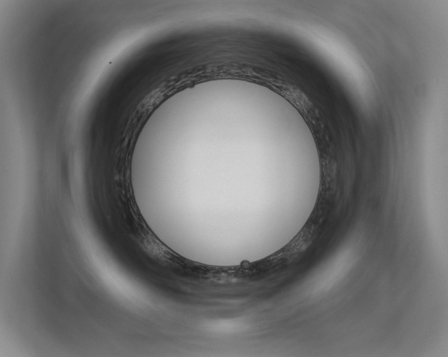 X0000112390526200908131346