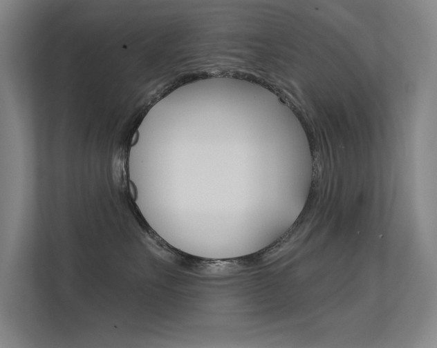 X0000112390527200908131346