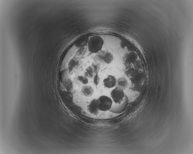 X0000112390529200908131345