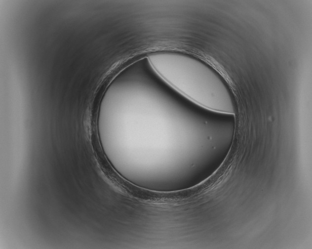 X0000112390530200908131345