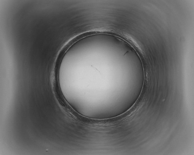 X0000112390532200908131345