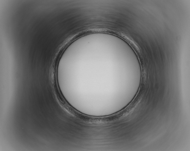 X0000112390533200908131345