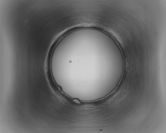 X0000112390536200908131346