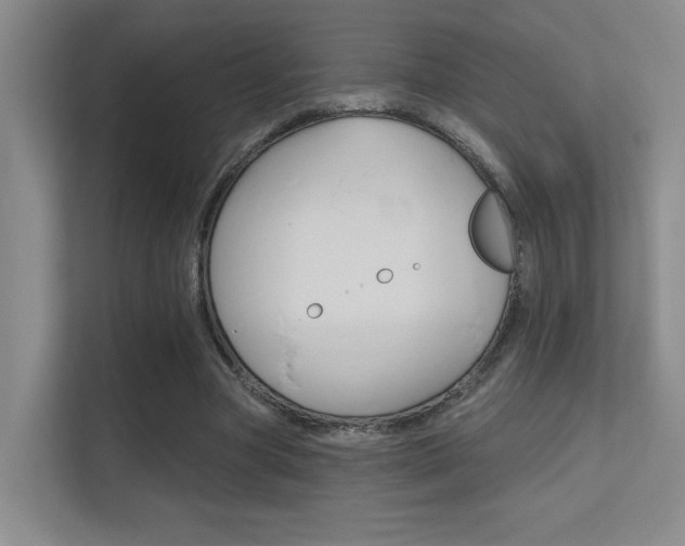 X0000112390537200908131346