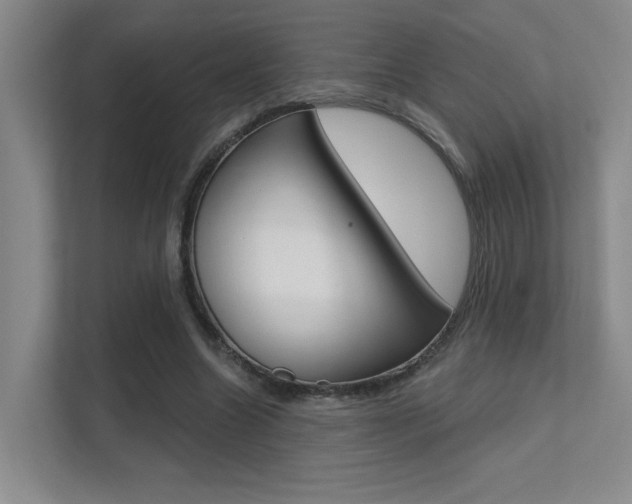 X0000112390538200908131346