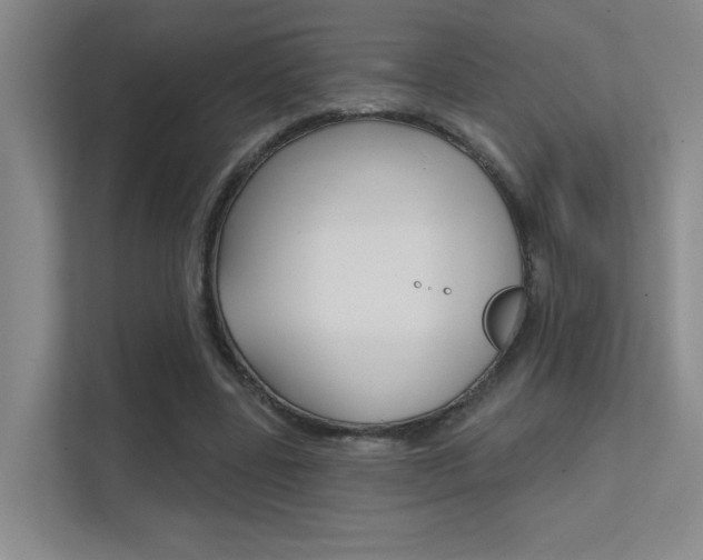X0000112390539200908131346